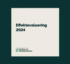Billede af effektevalueringforside